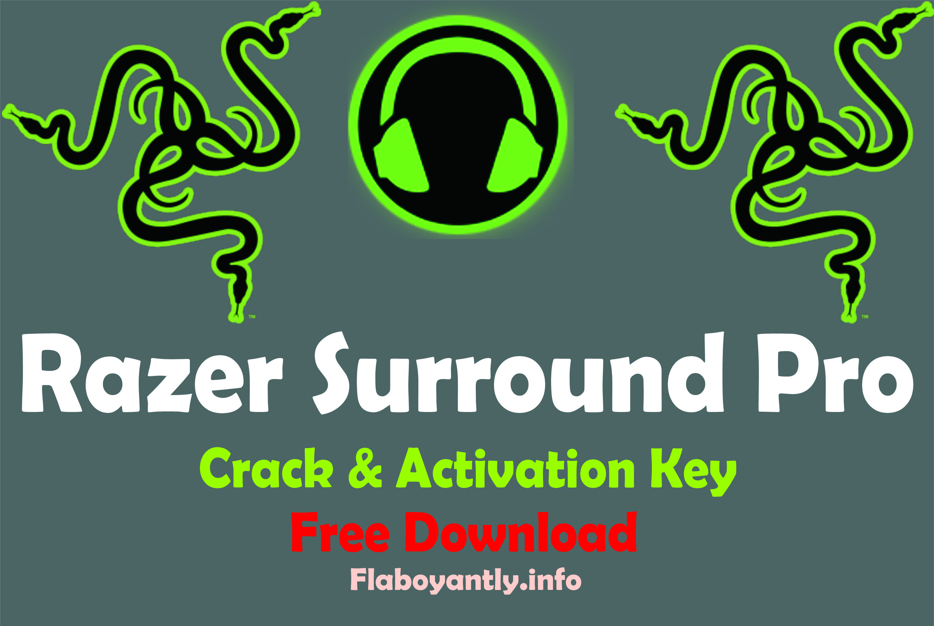 razer surround pro serial key 2019
